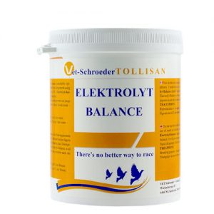 Tollisan Electrolyte Balance – 500g
